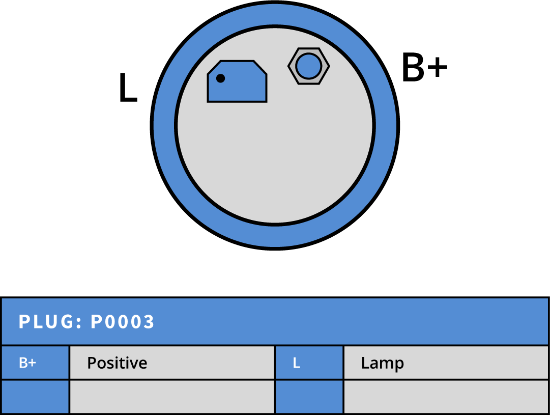 Plug Image