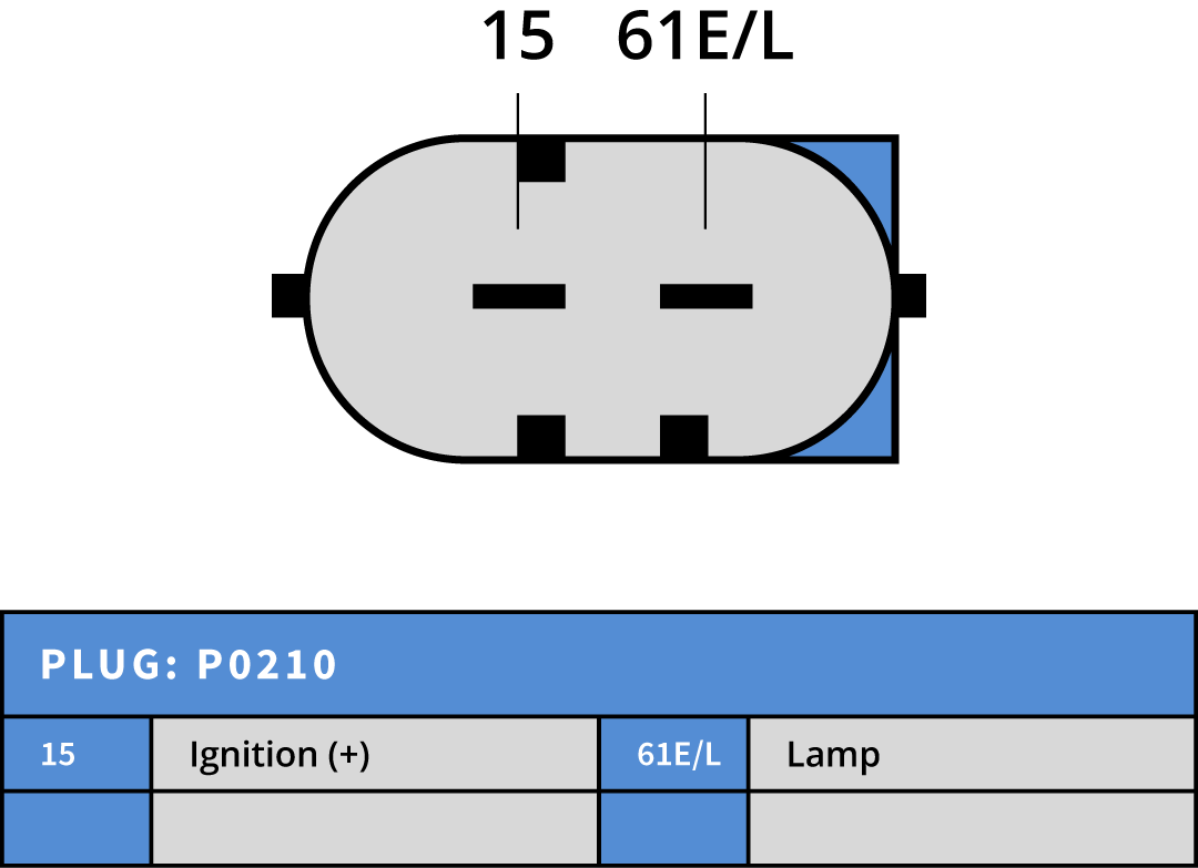Plug Image