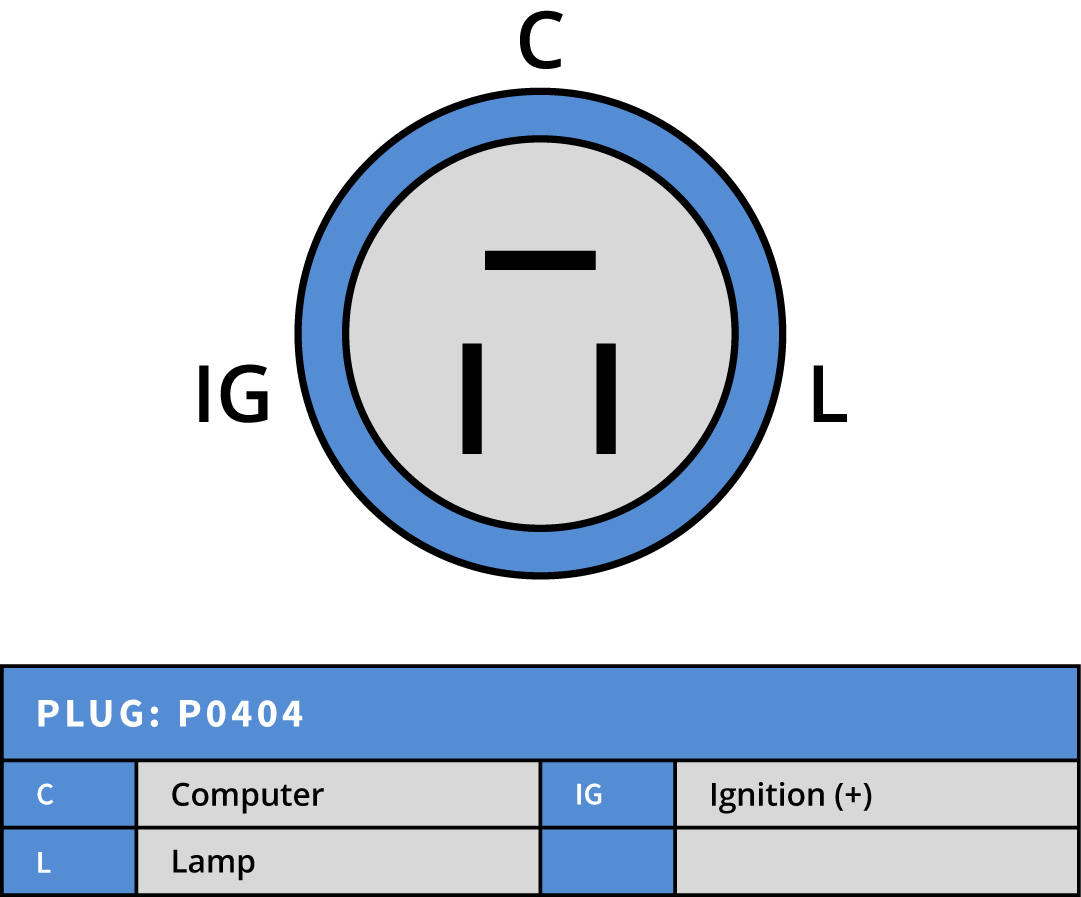 Plug Image