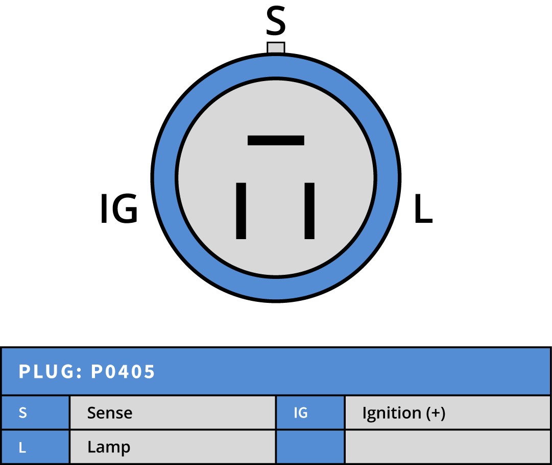 Plug Image