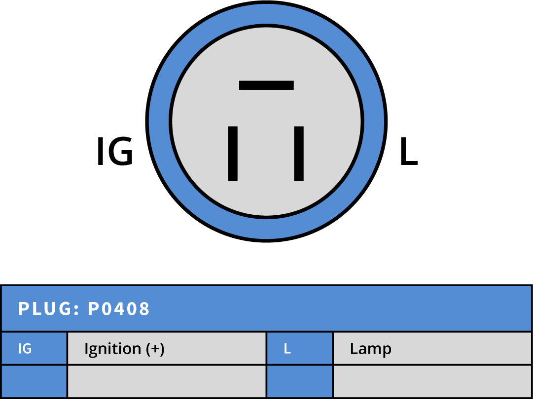 Plug Image