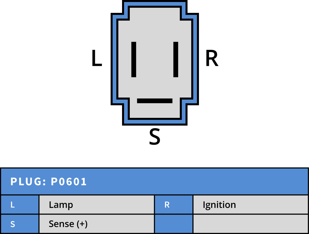 Plug Image