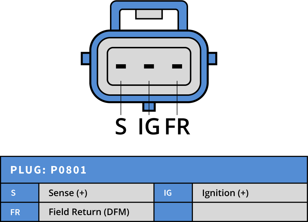 Plug Image
