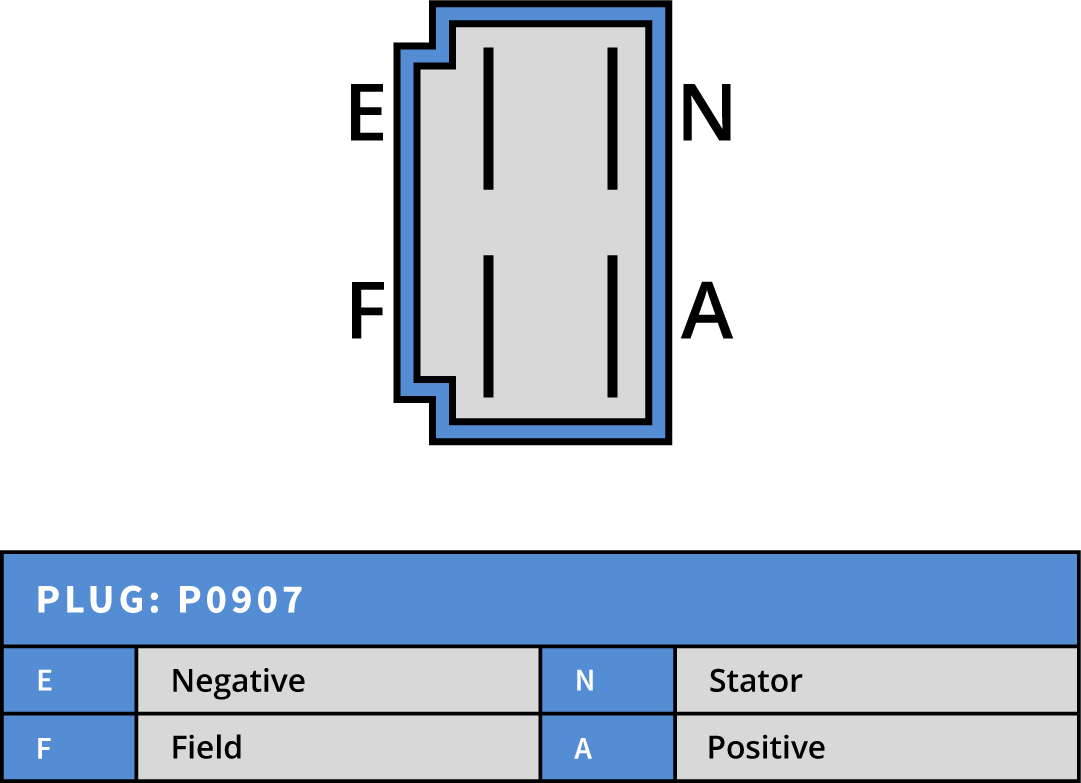 Plug Image