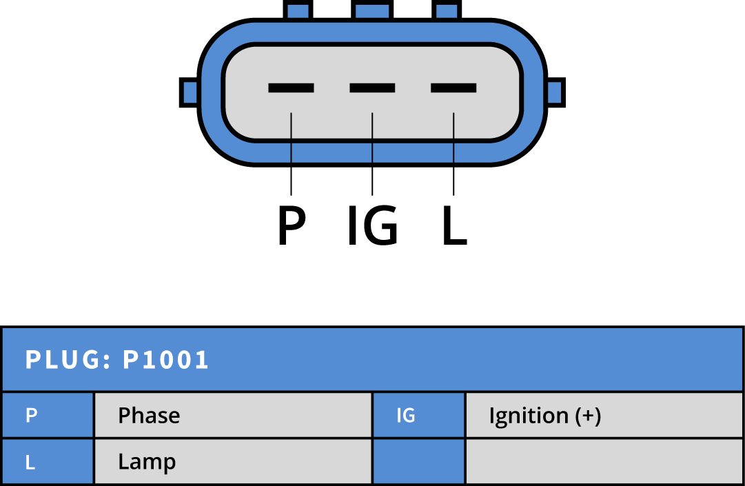 Plug Image