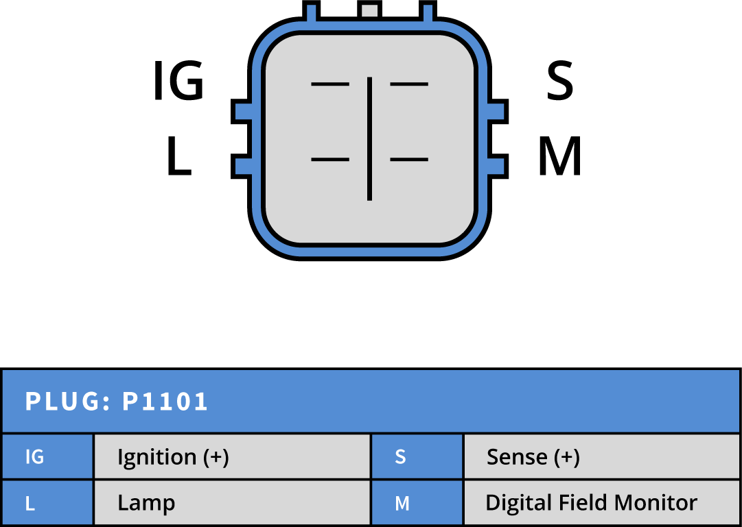 Plug Image