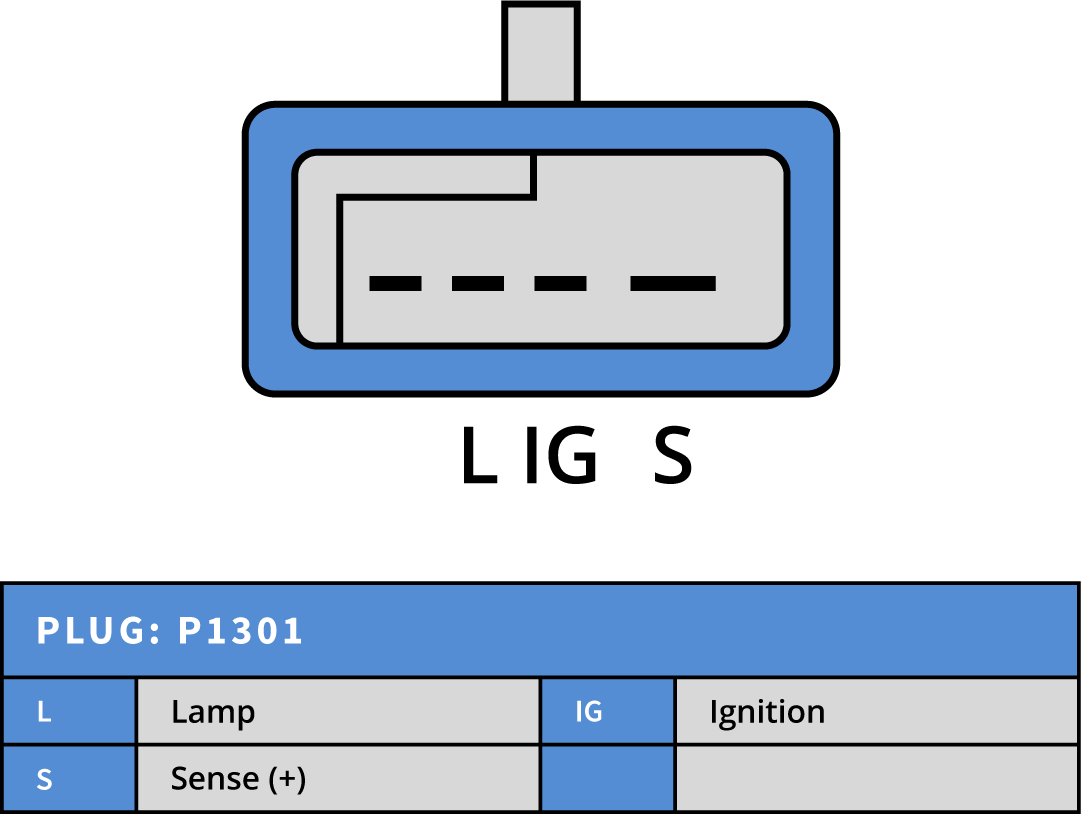 Plug Image