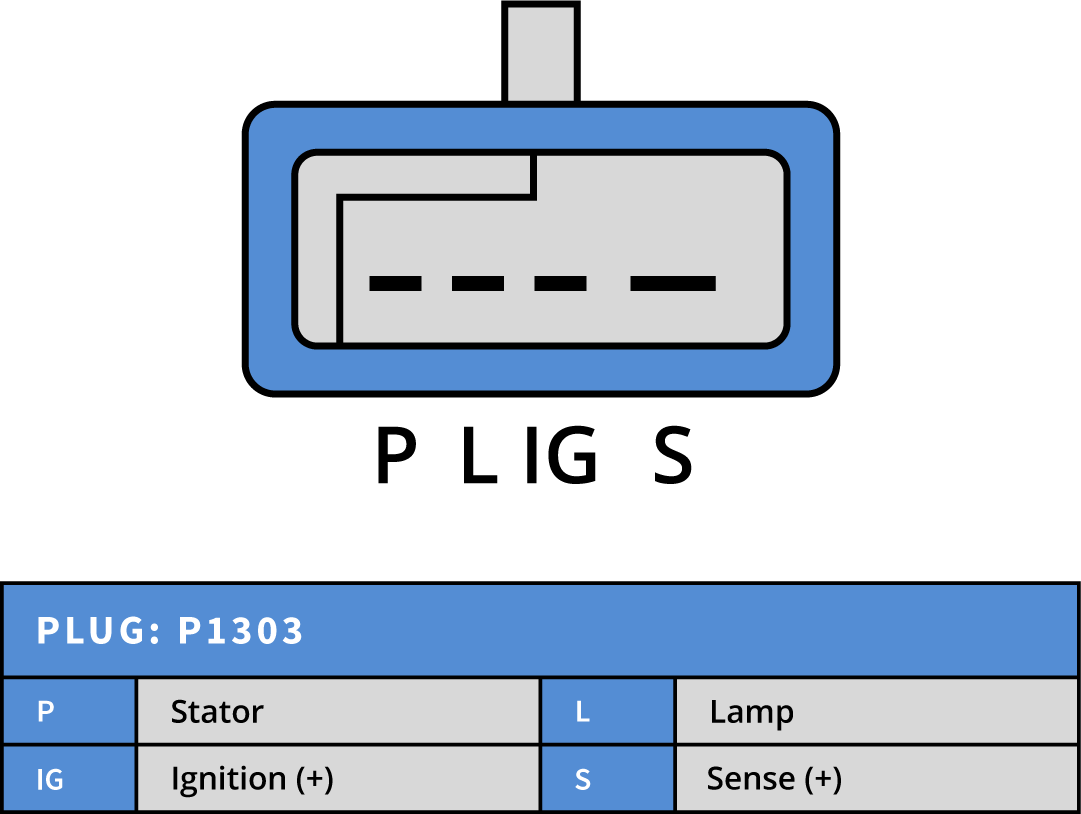Plug Image