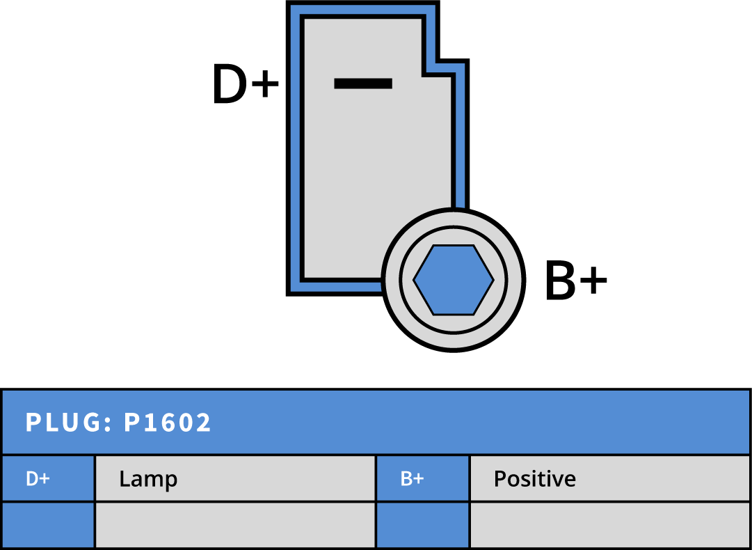 Plug Image