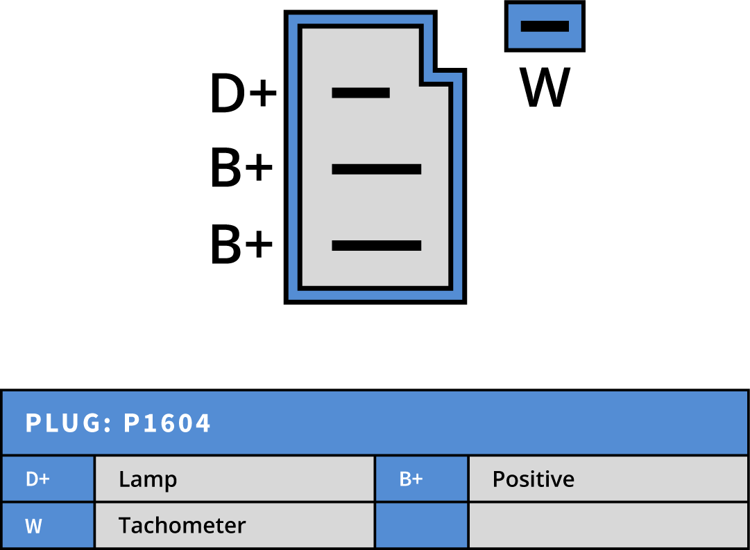 Plug Image