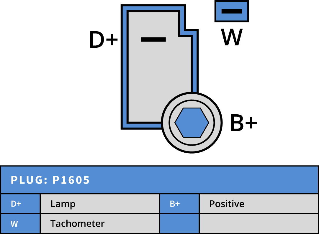 Plug Image