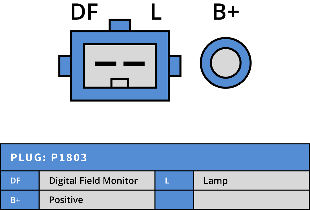 Plug Image