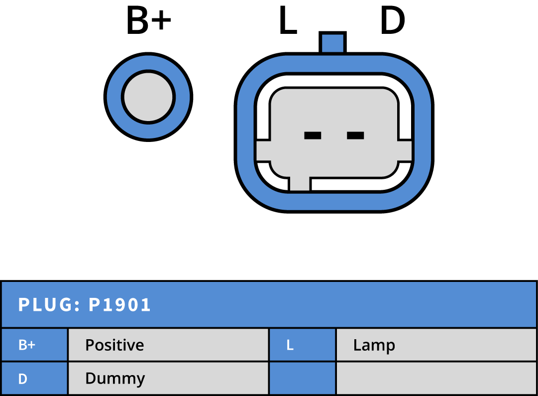 Plug Image
