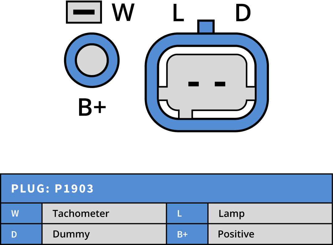 Plug Image