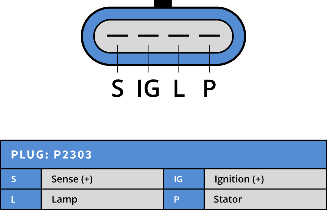 Plug Image