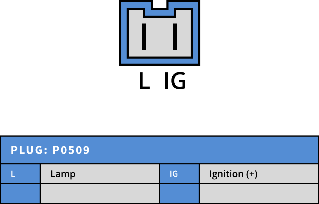 Plug Image