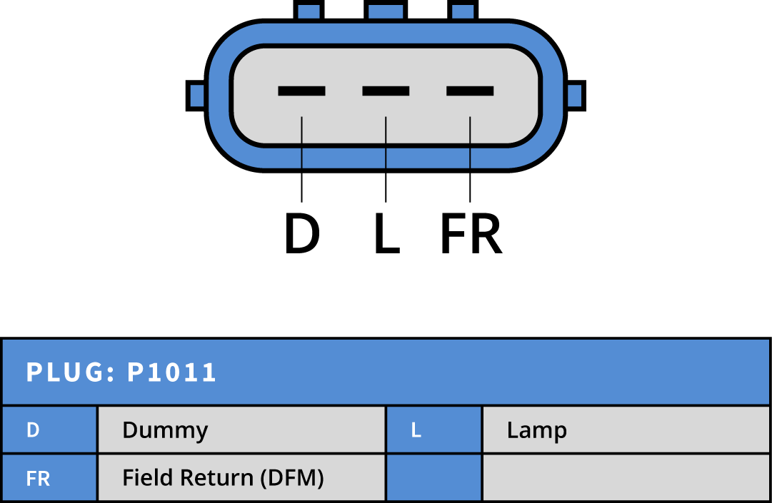Plug Image