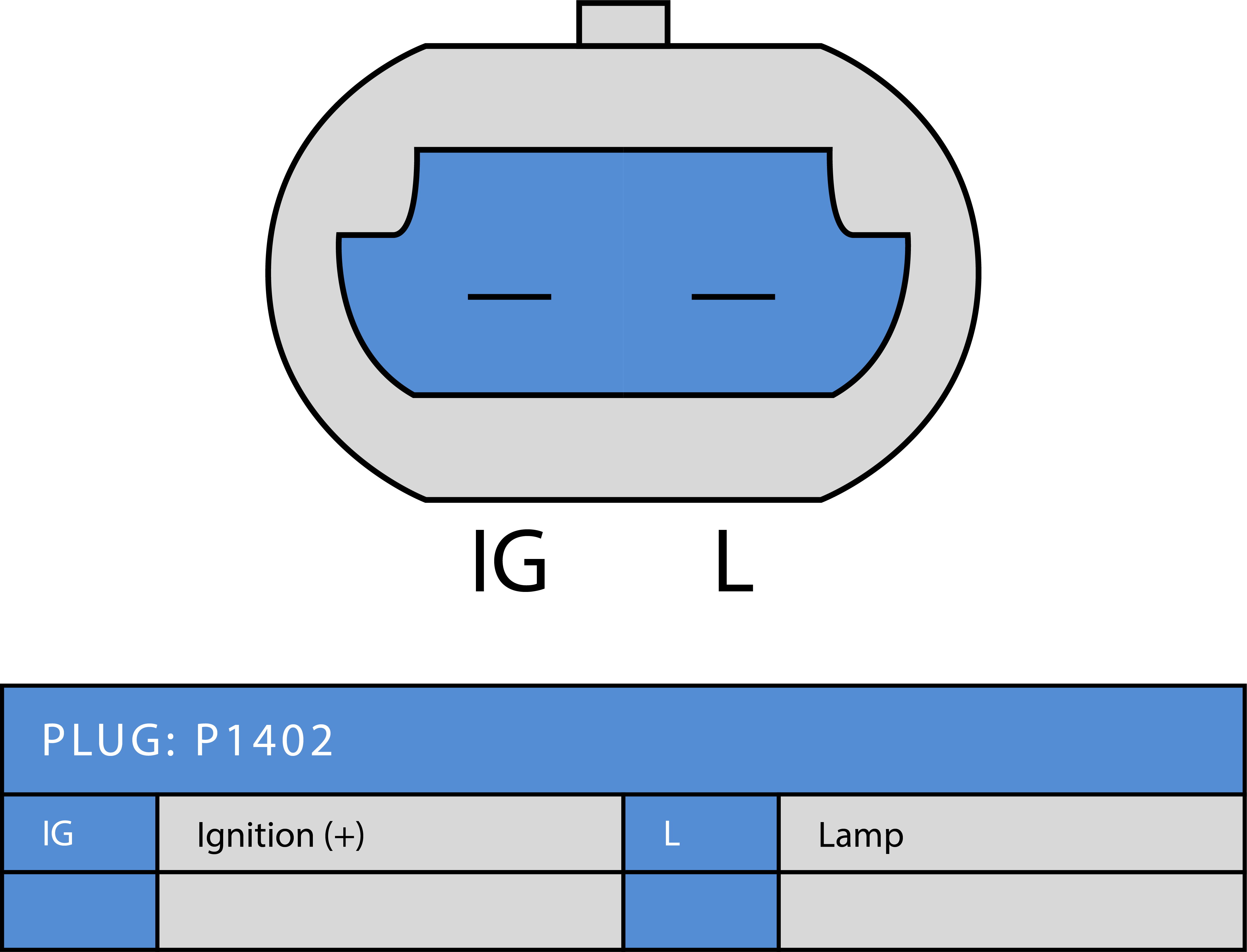 Plug Image
