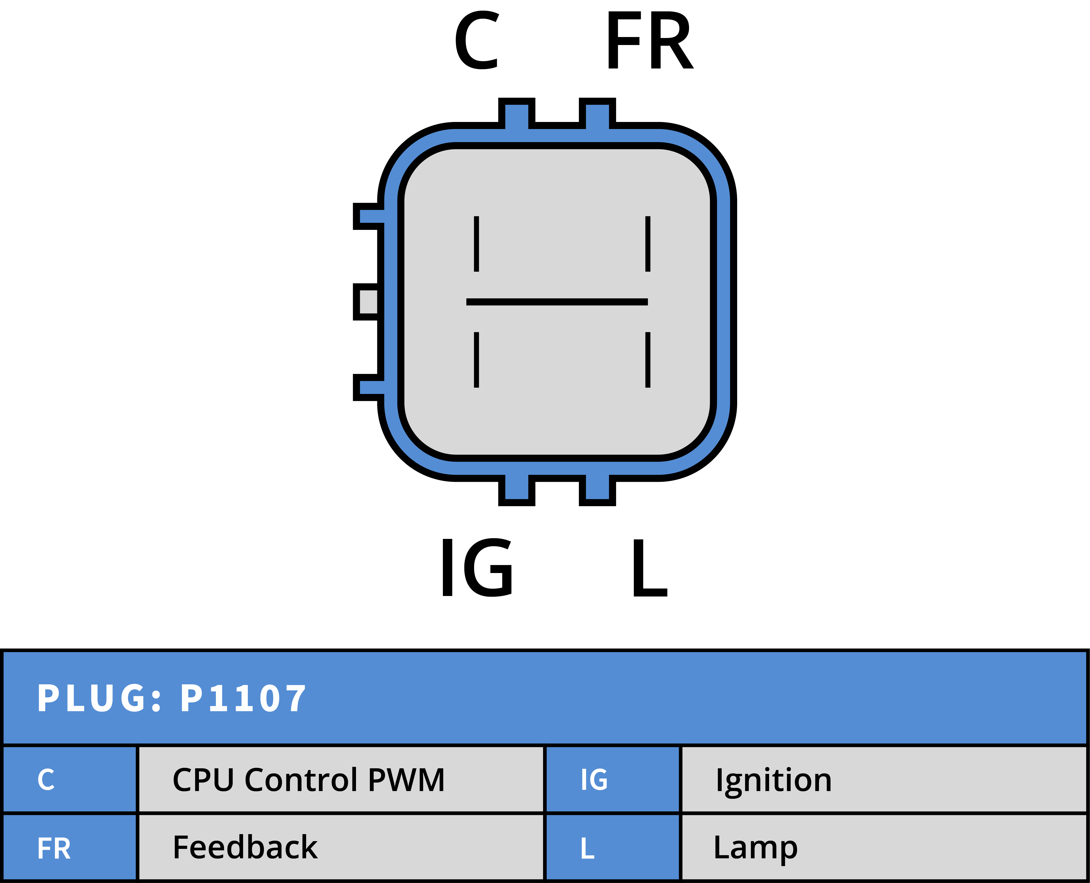 Plug Image