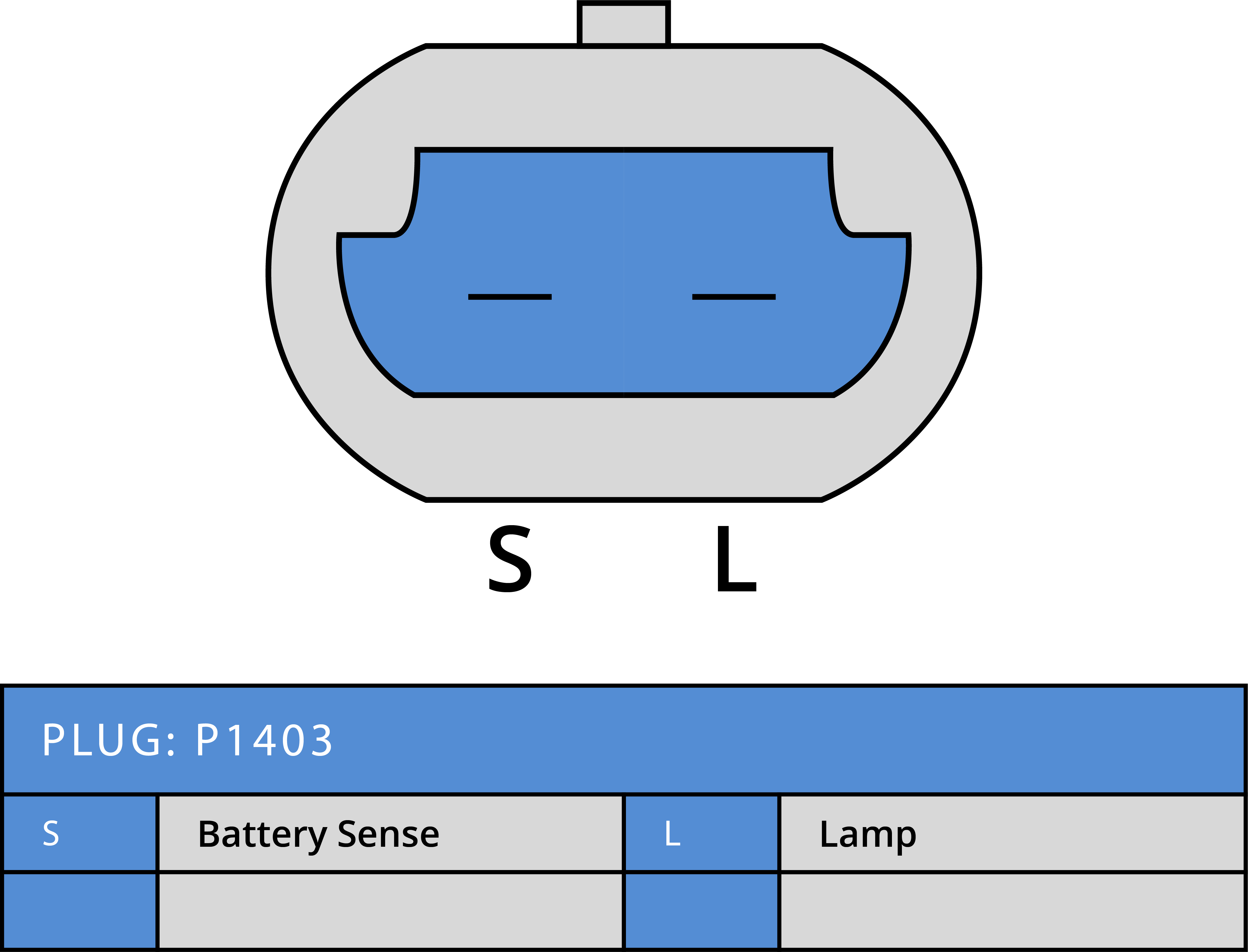 Plug Image