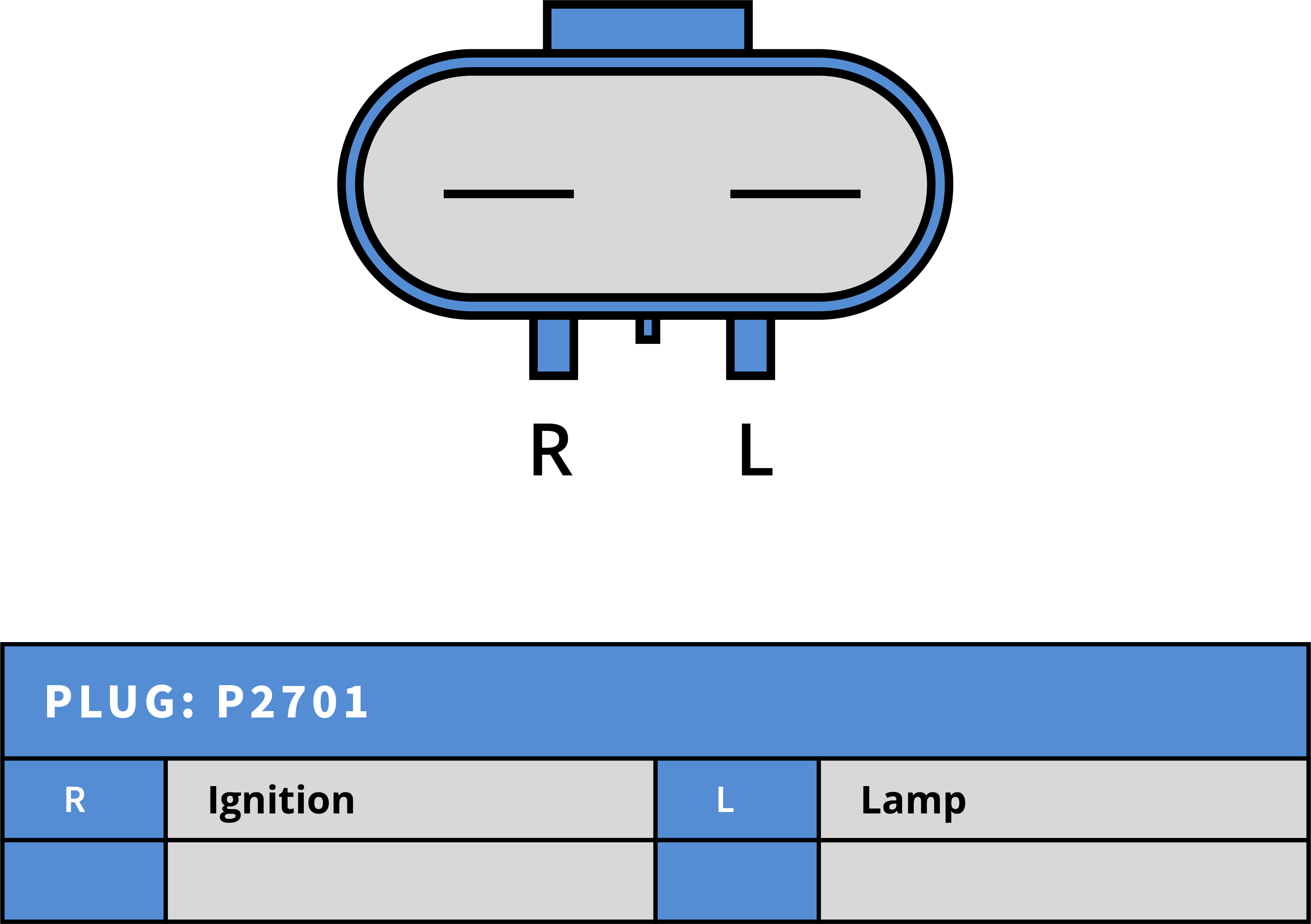 Plug Image