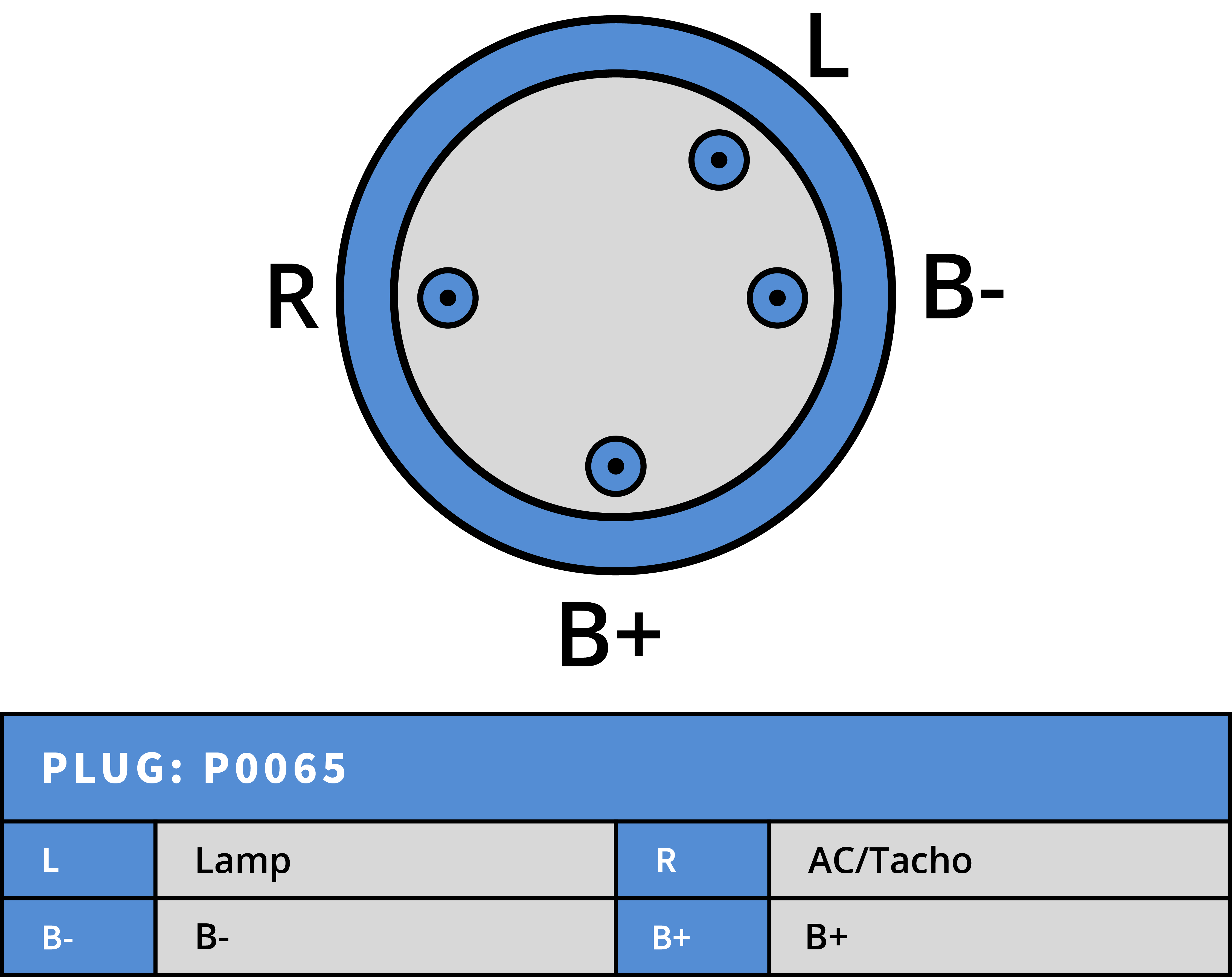 Plug Image