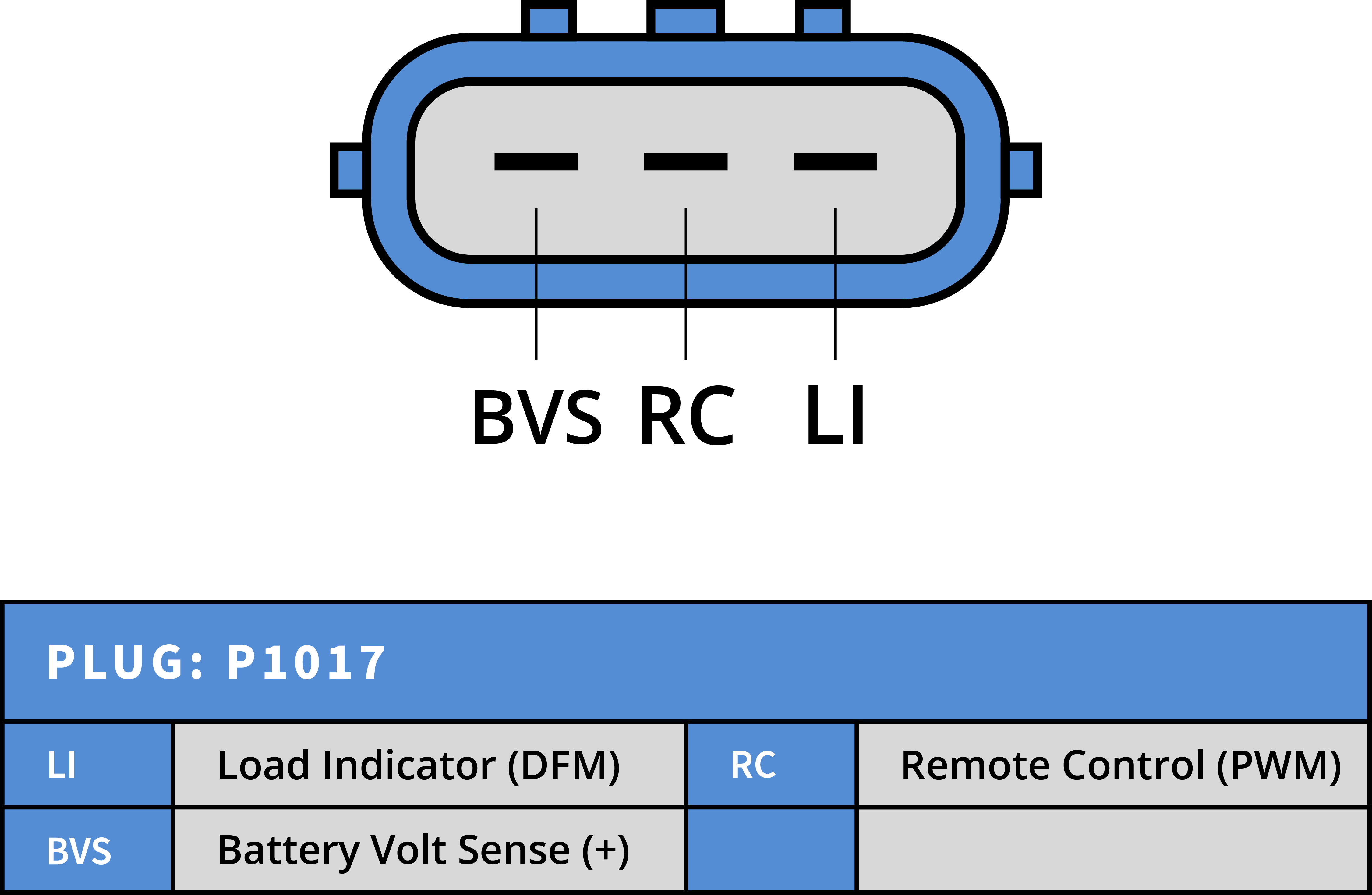 Plug Image