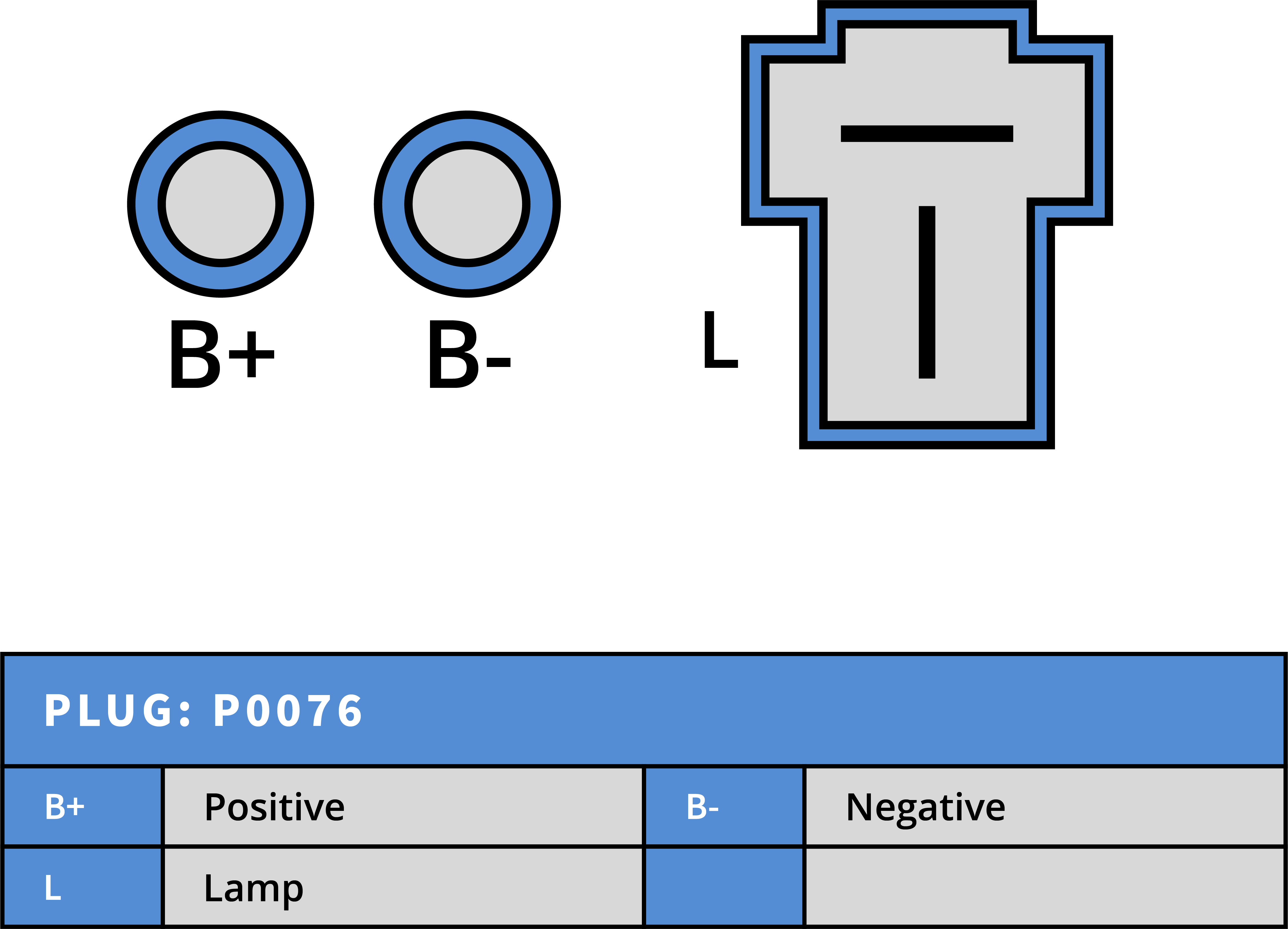 Plug Image