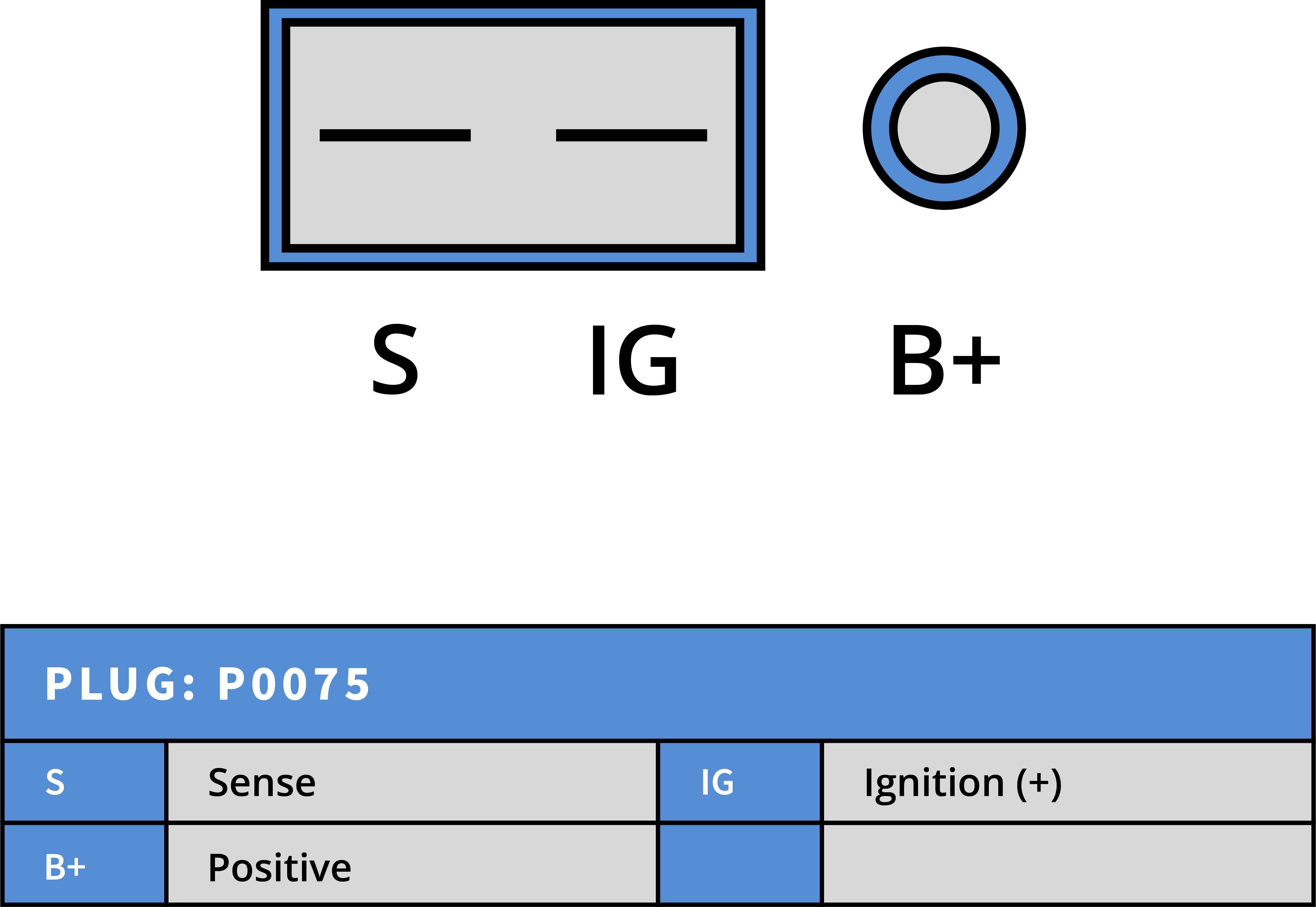 Plug Image