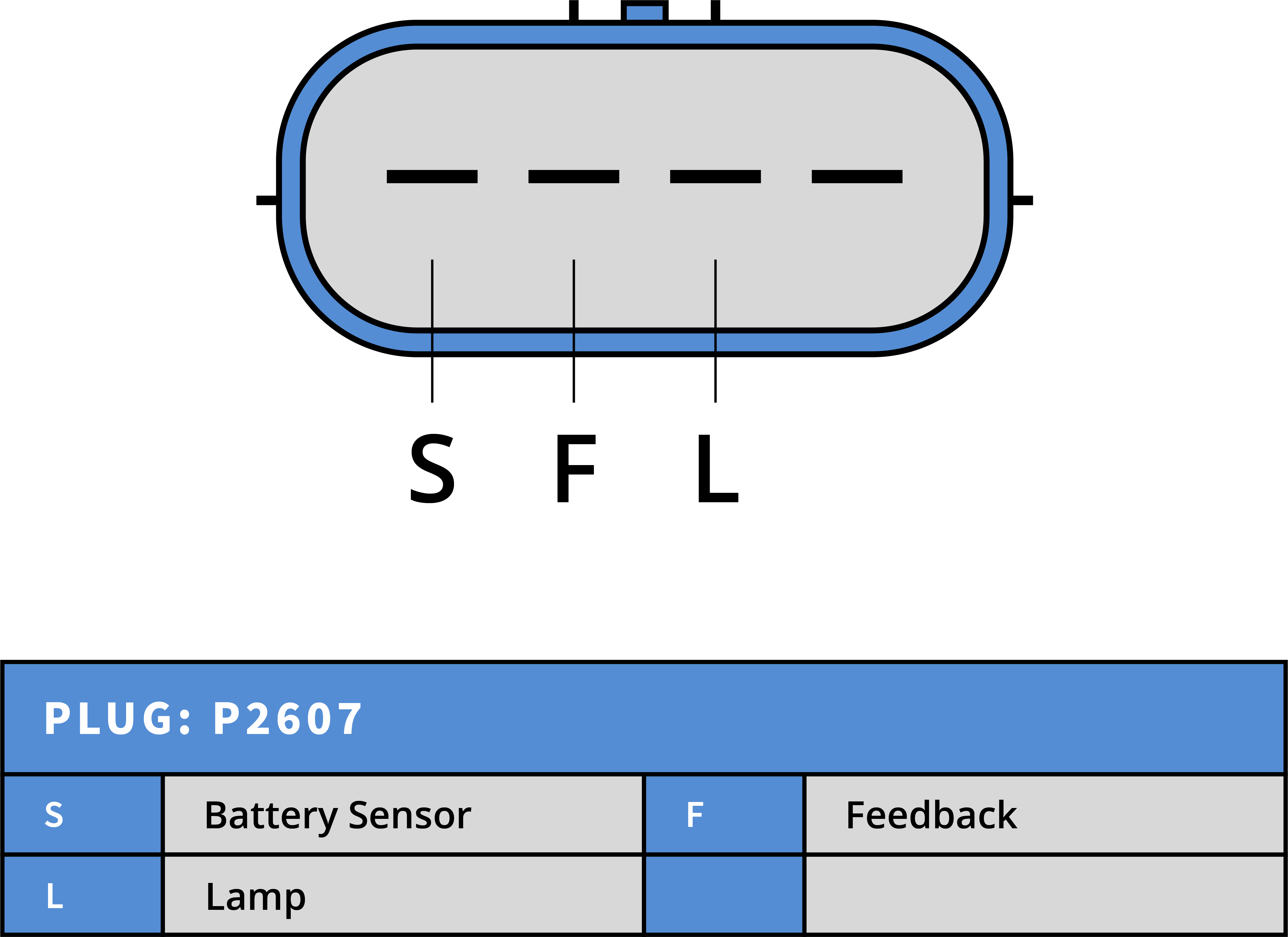 Plug Image