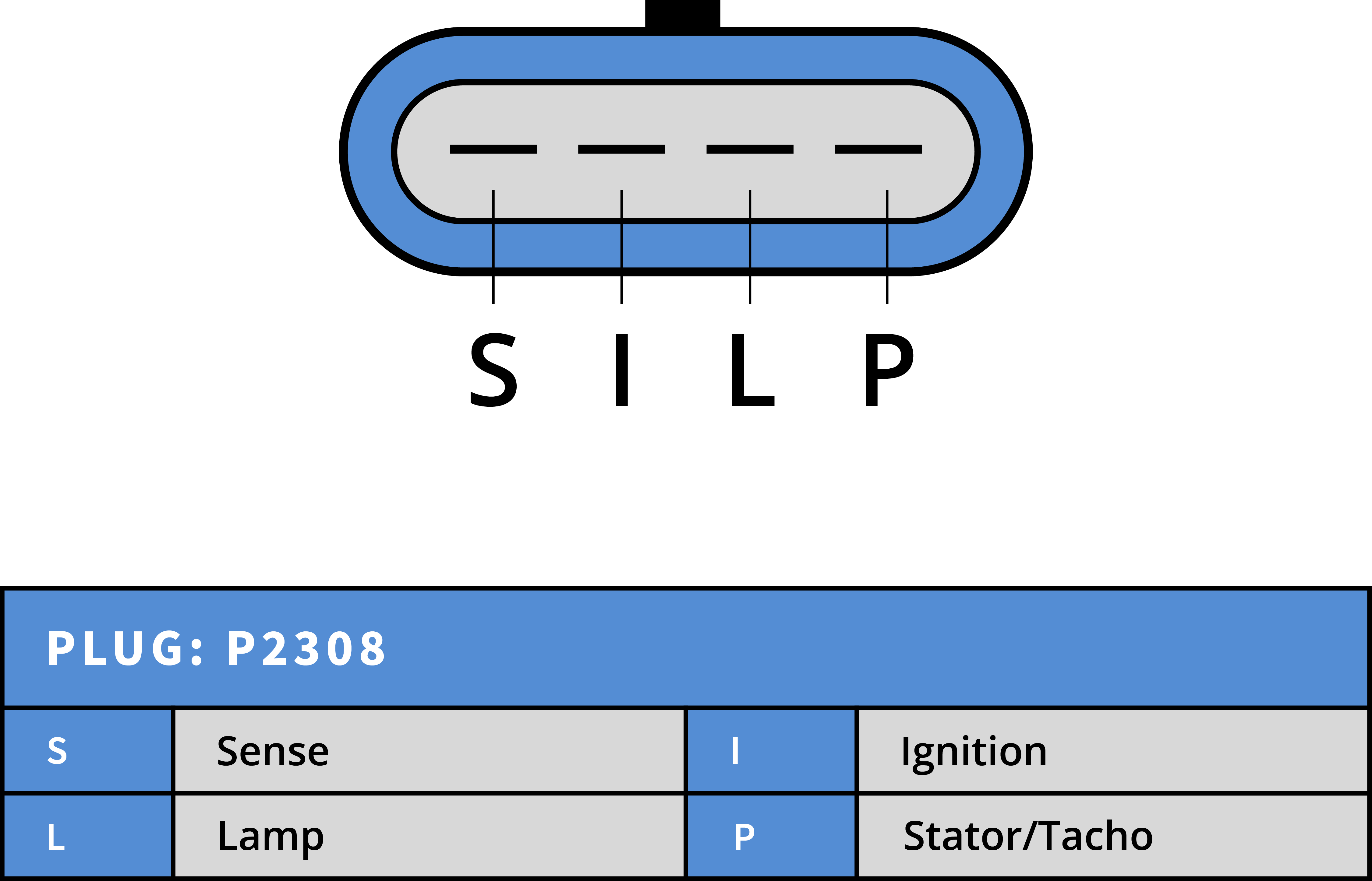 Plug Image