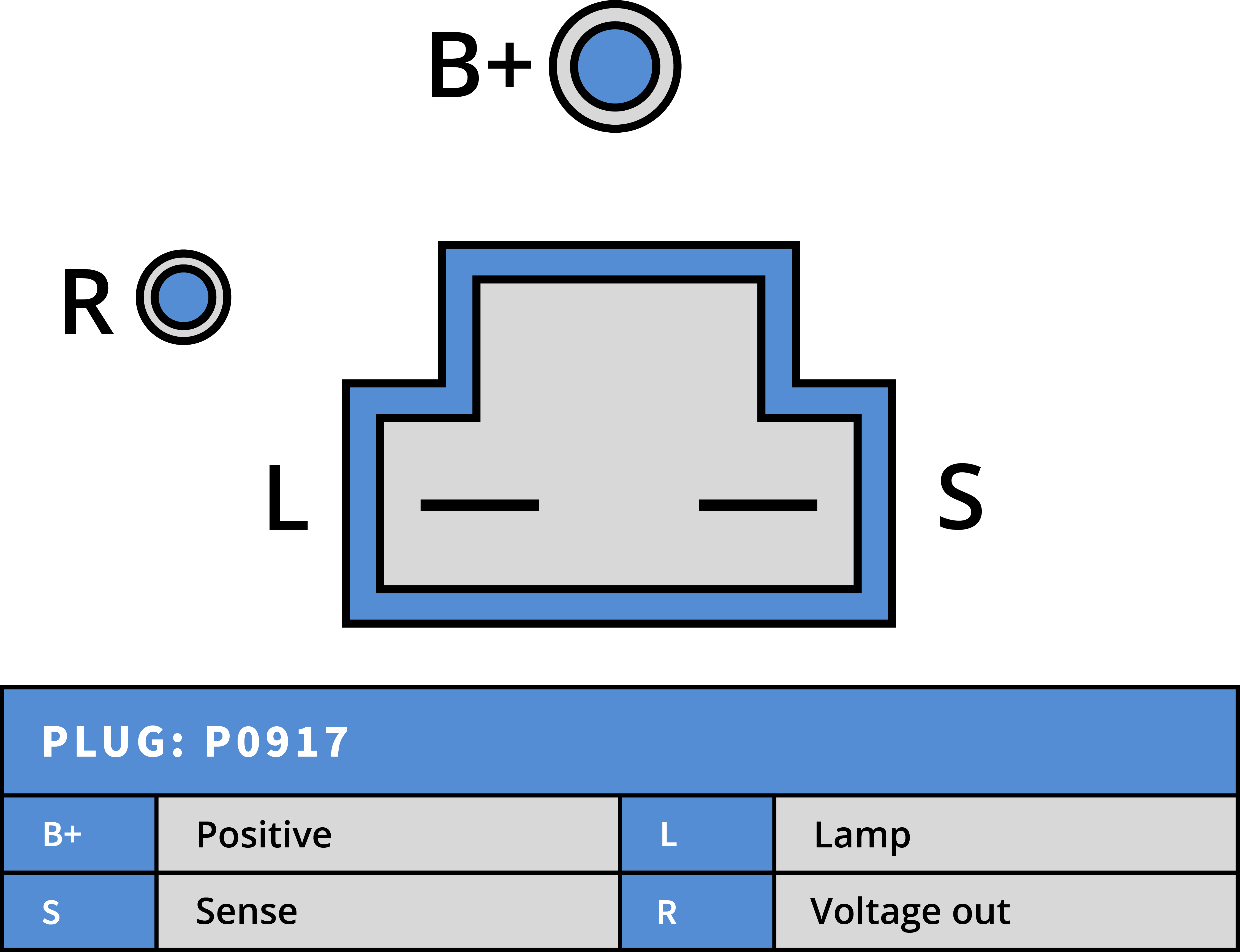 Plug Image