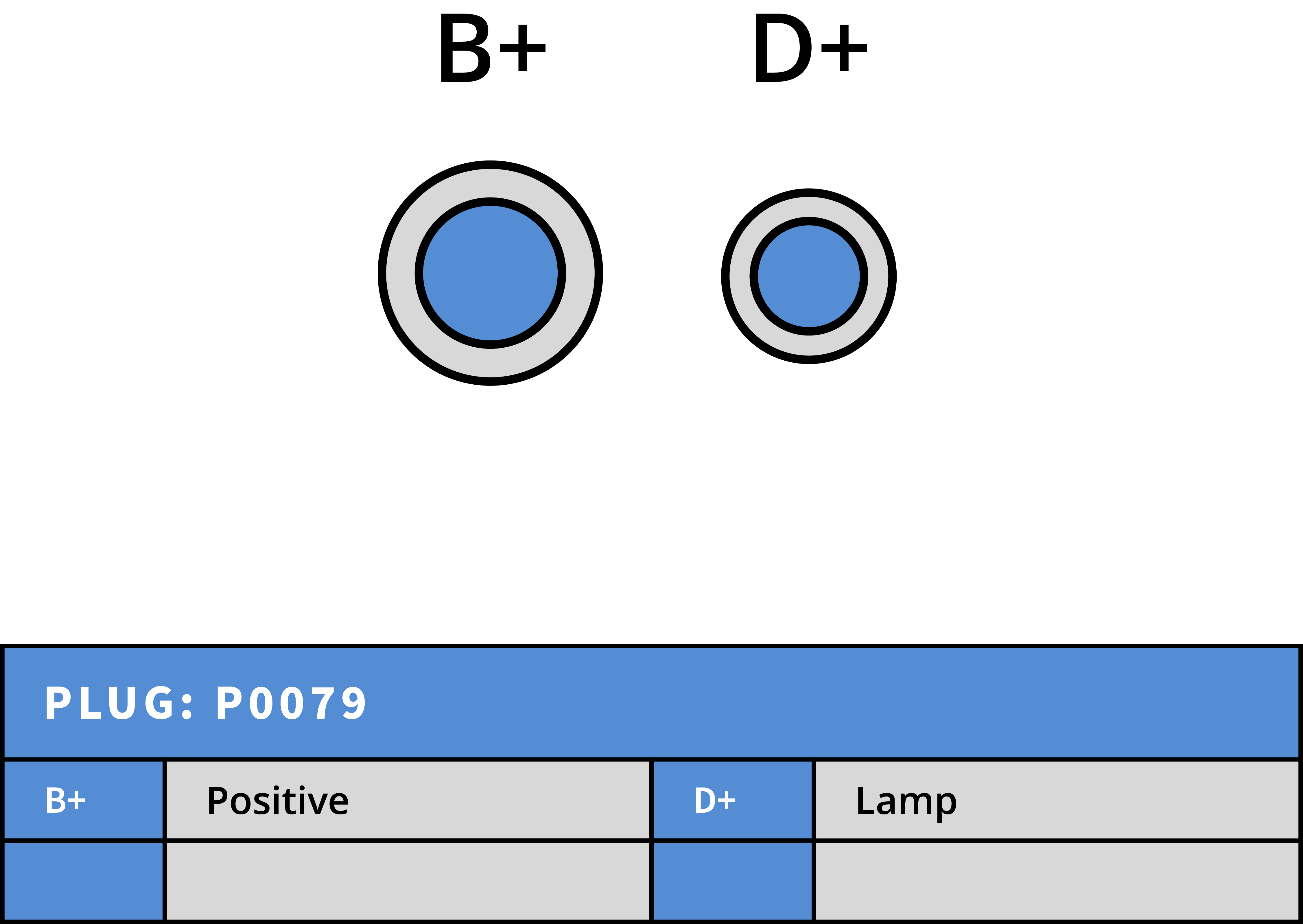 Plug Image