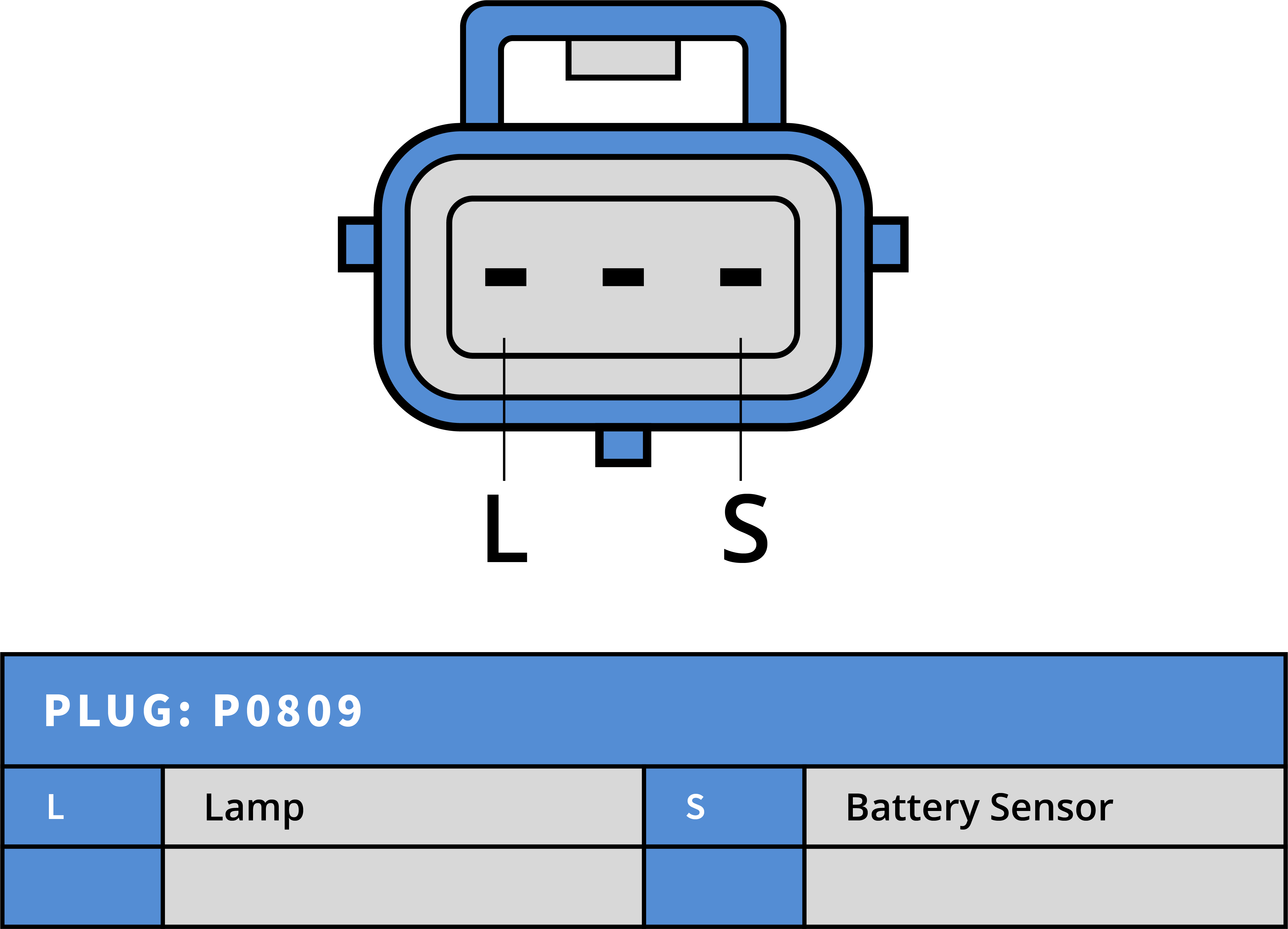 Plug Image