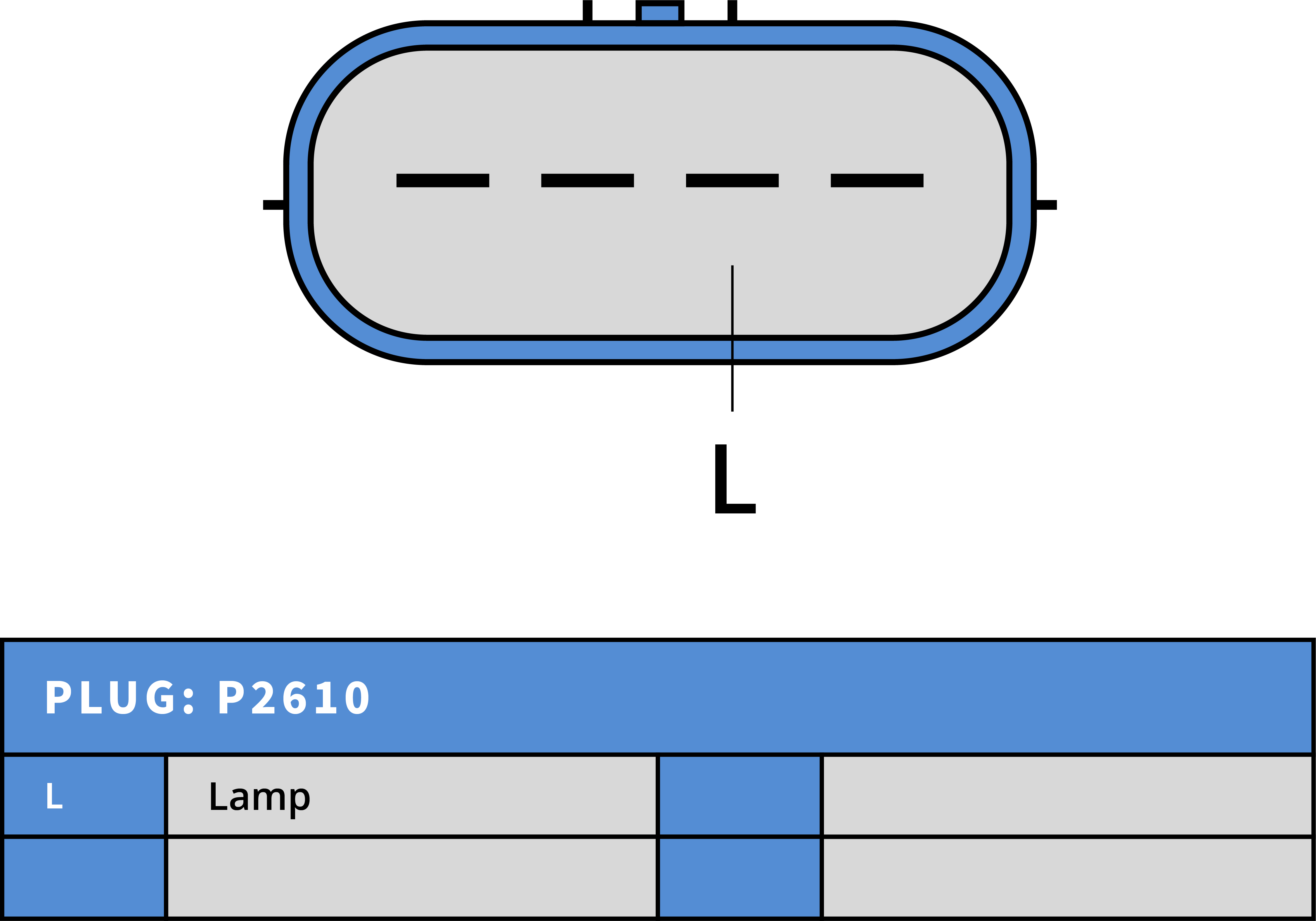Plug Image