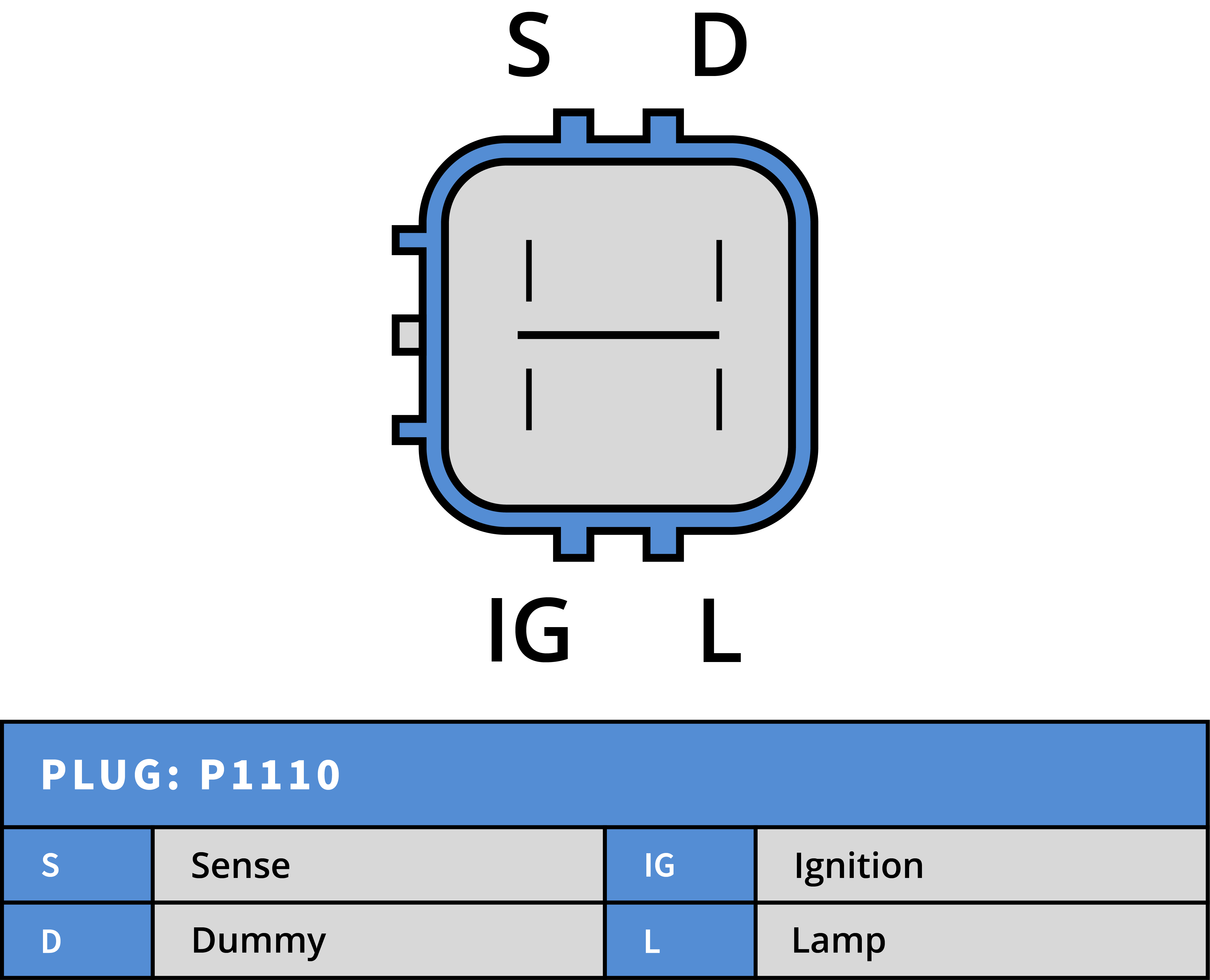 Plug Image