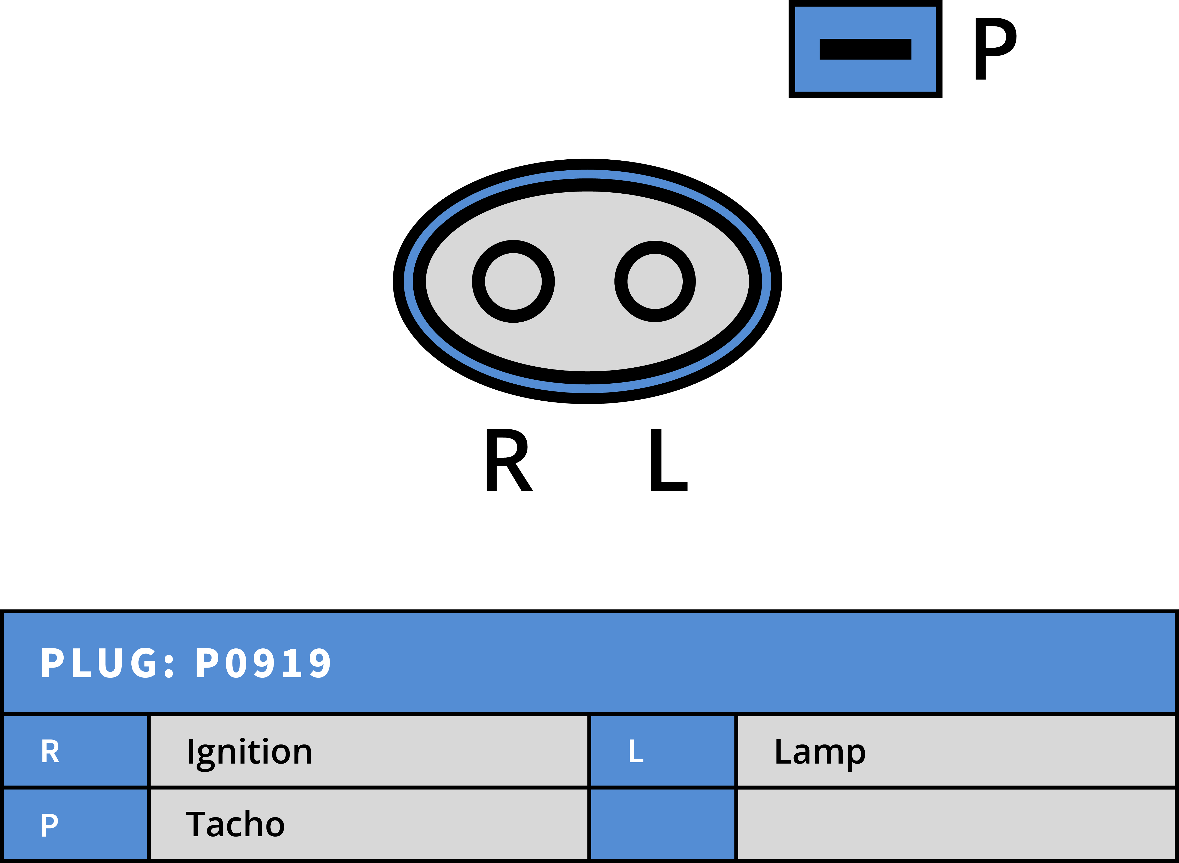 Plug Image