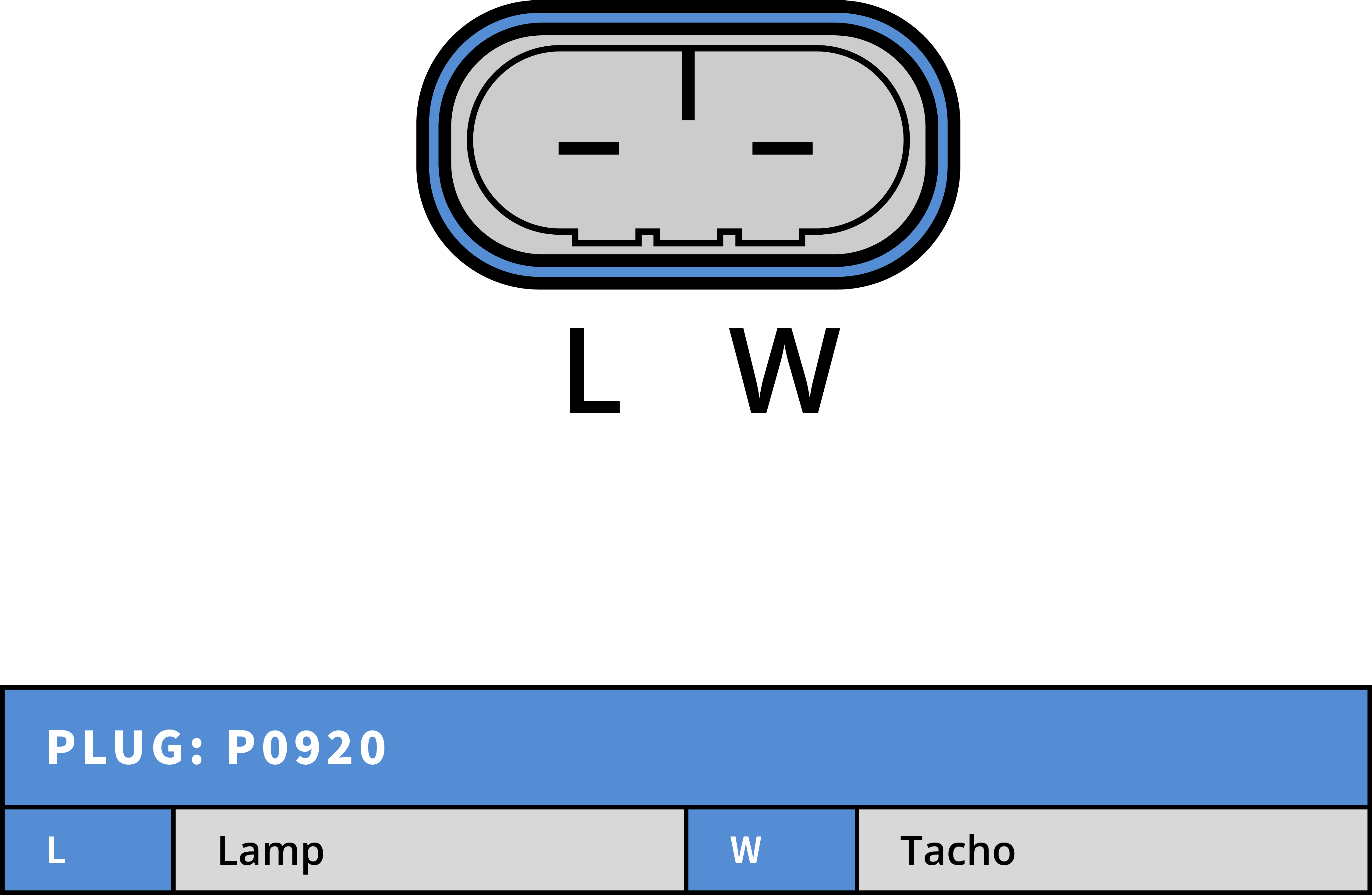 Plug Image