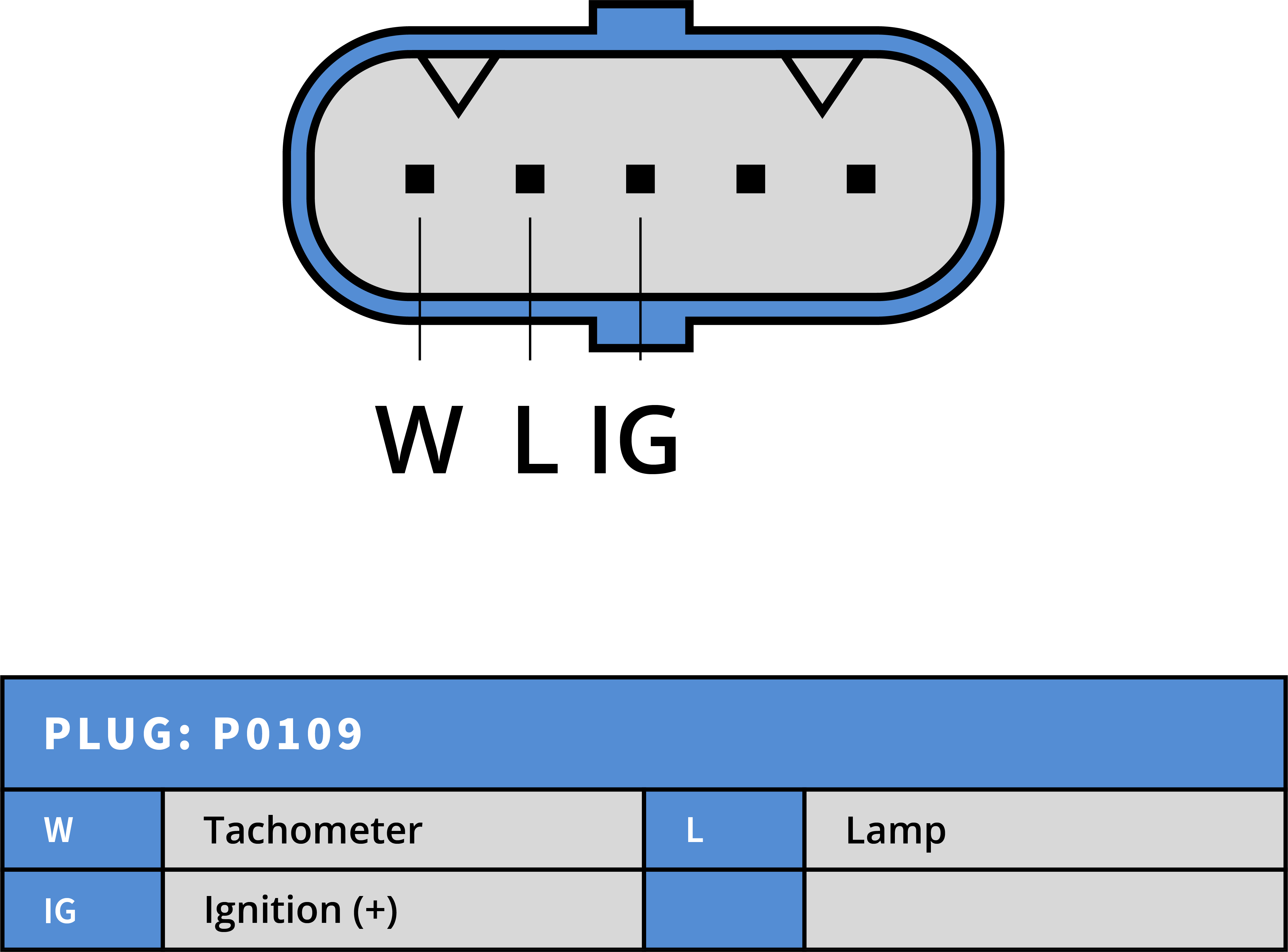 Plug Image