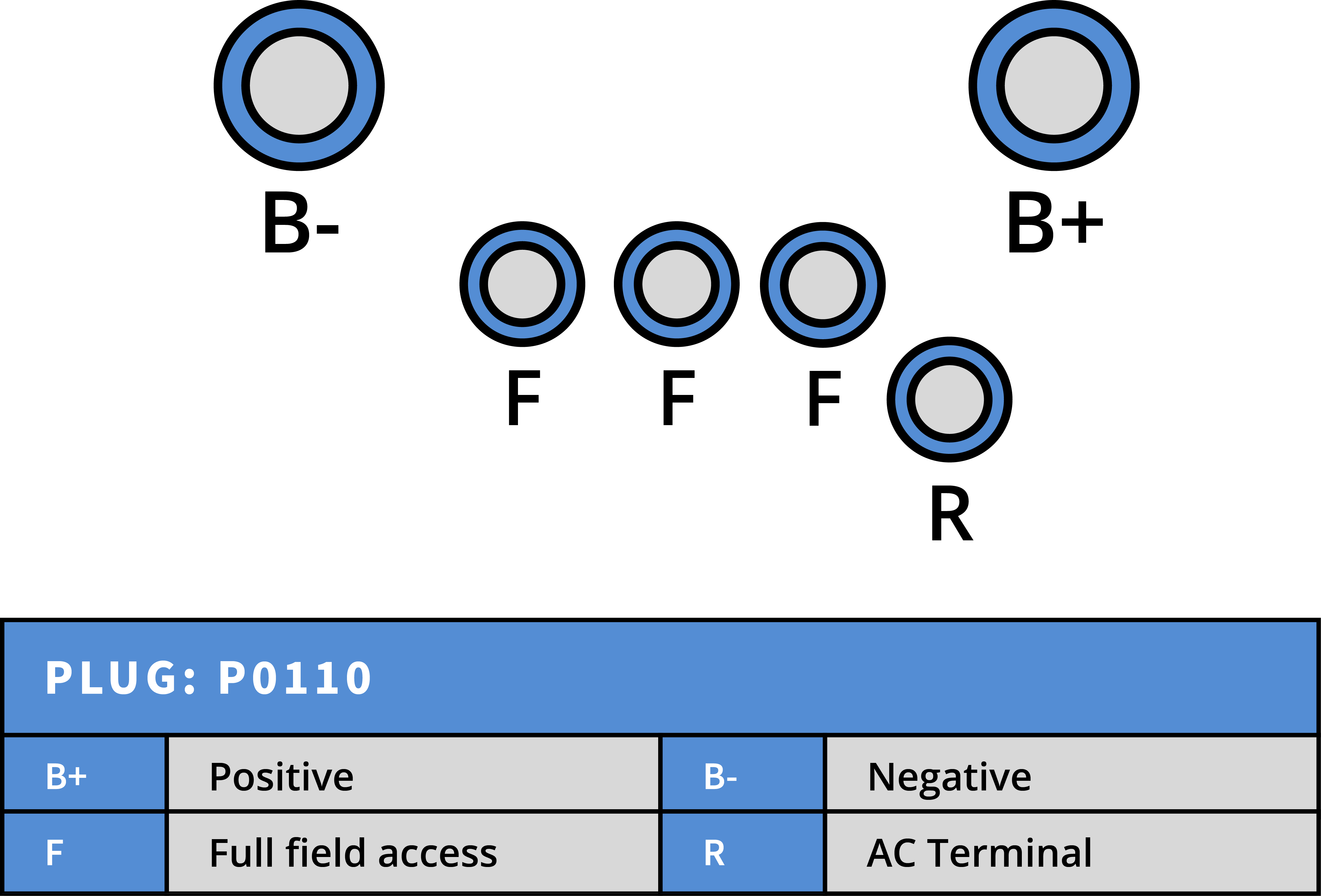Plug Image