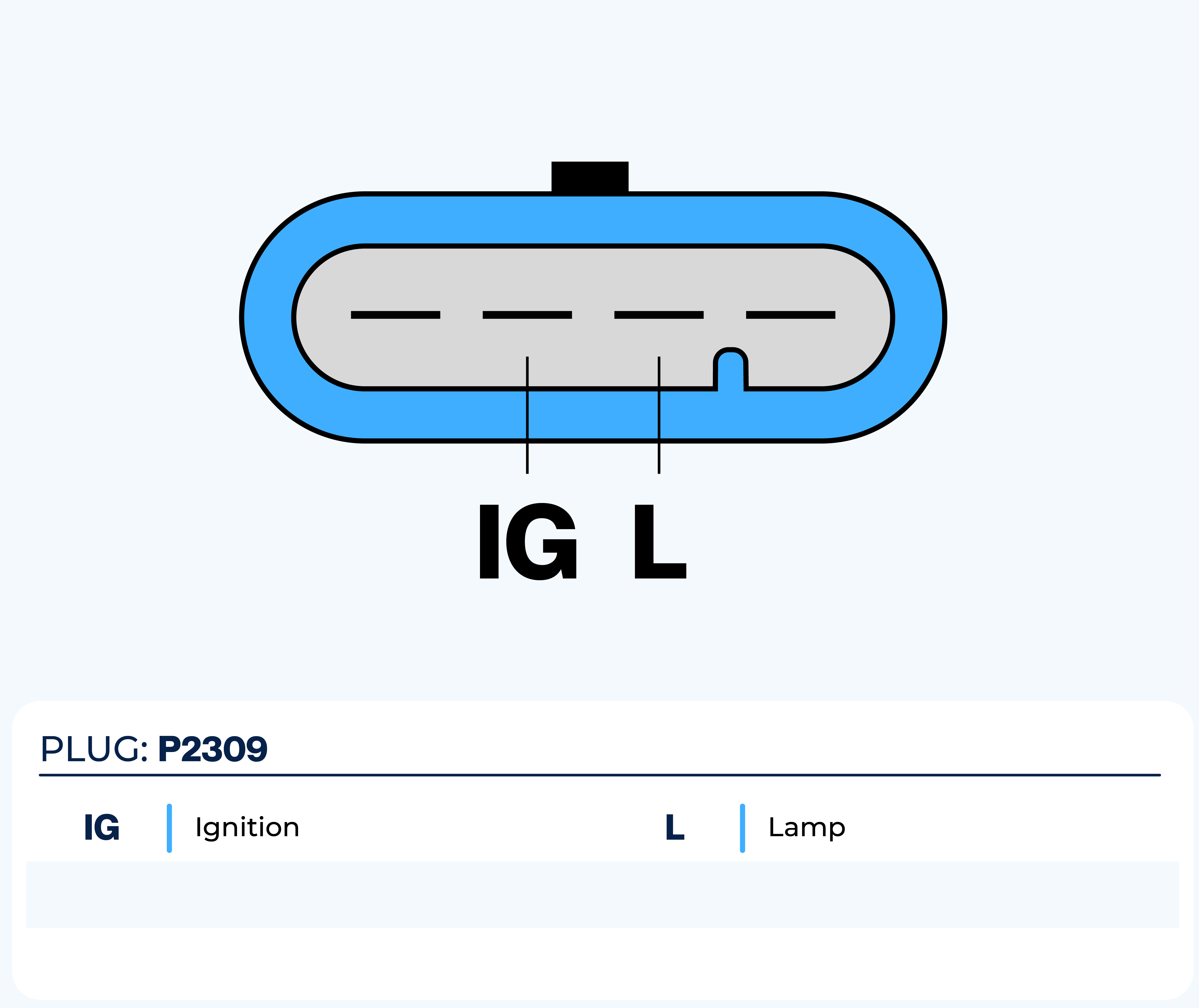 Plug Image