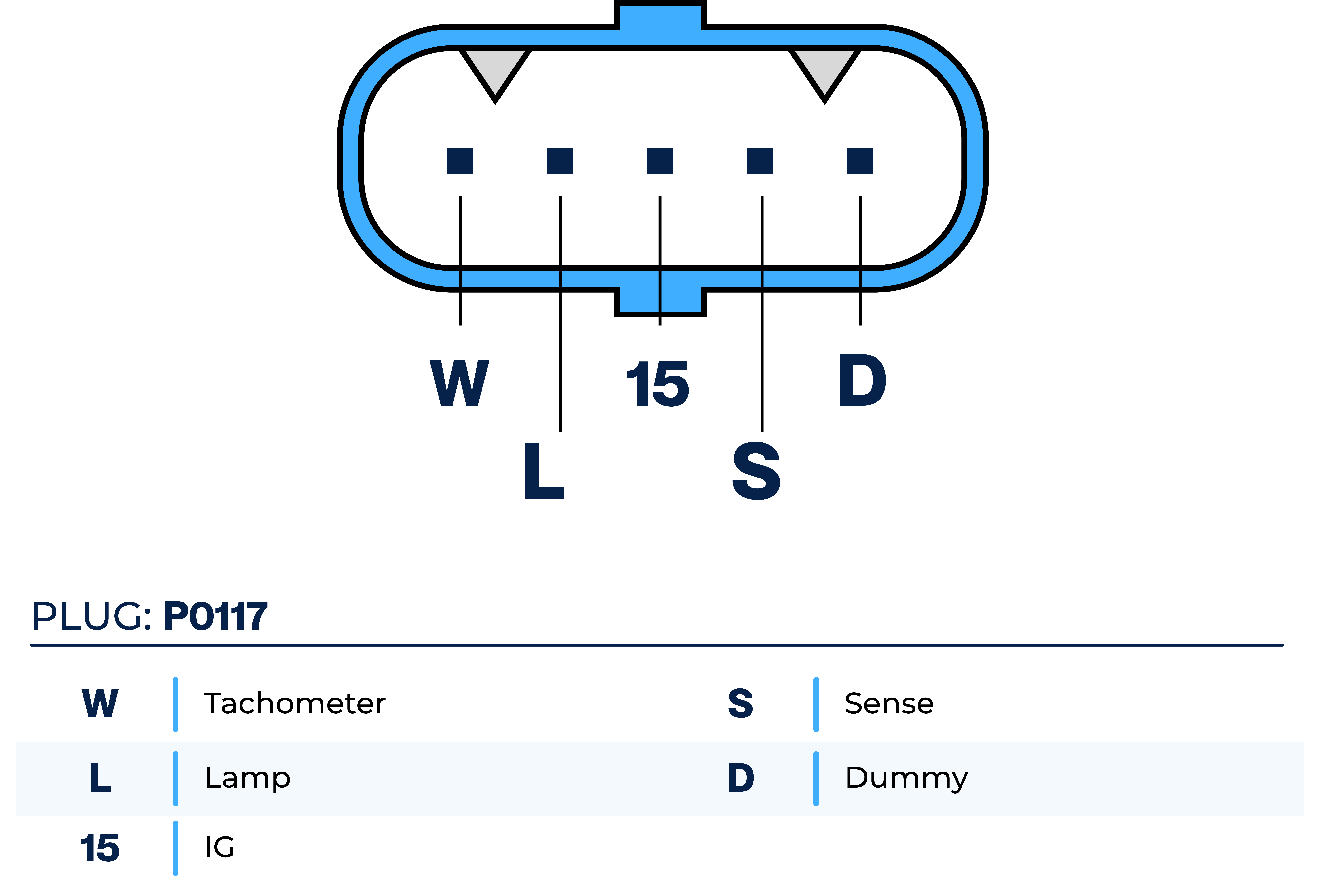 Plug Image